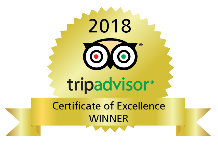 TripAdvisor Ribbon